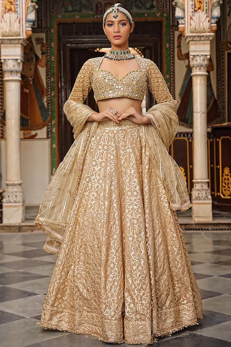 Beige Embroidered Lehenga Set