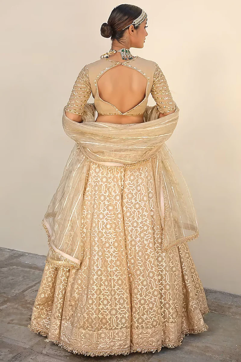Beige Embroidered Lehenga Set - Image 2
