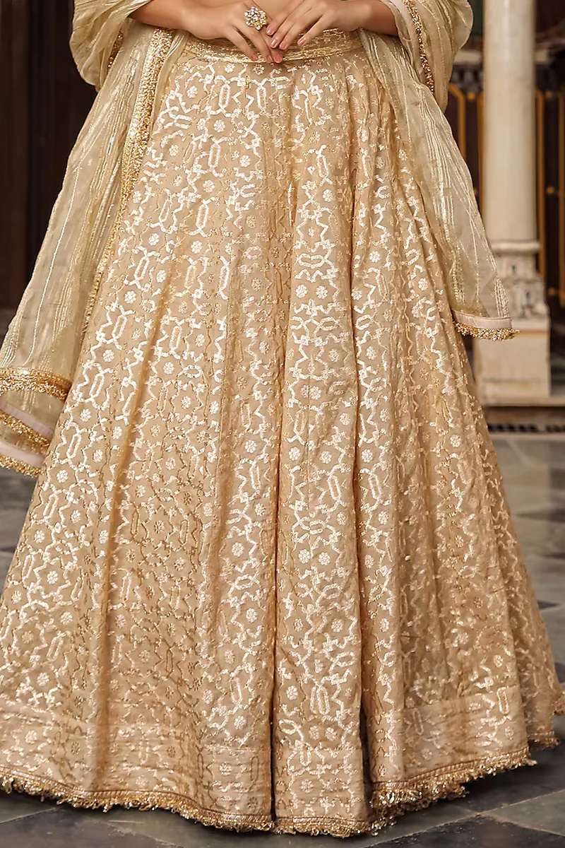 Beige Embroidered Lehenga Set - Image 3