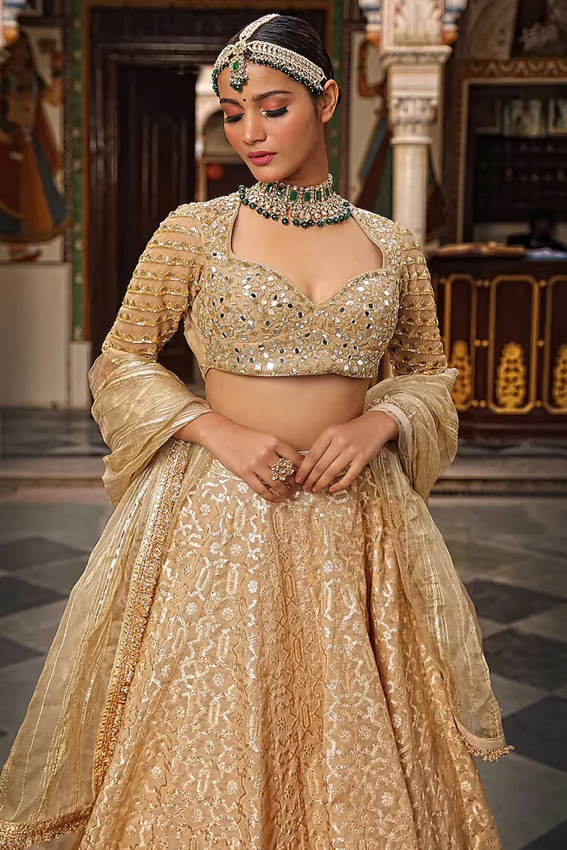 Beige Embroidered Lehenga Set - Image 4