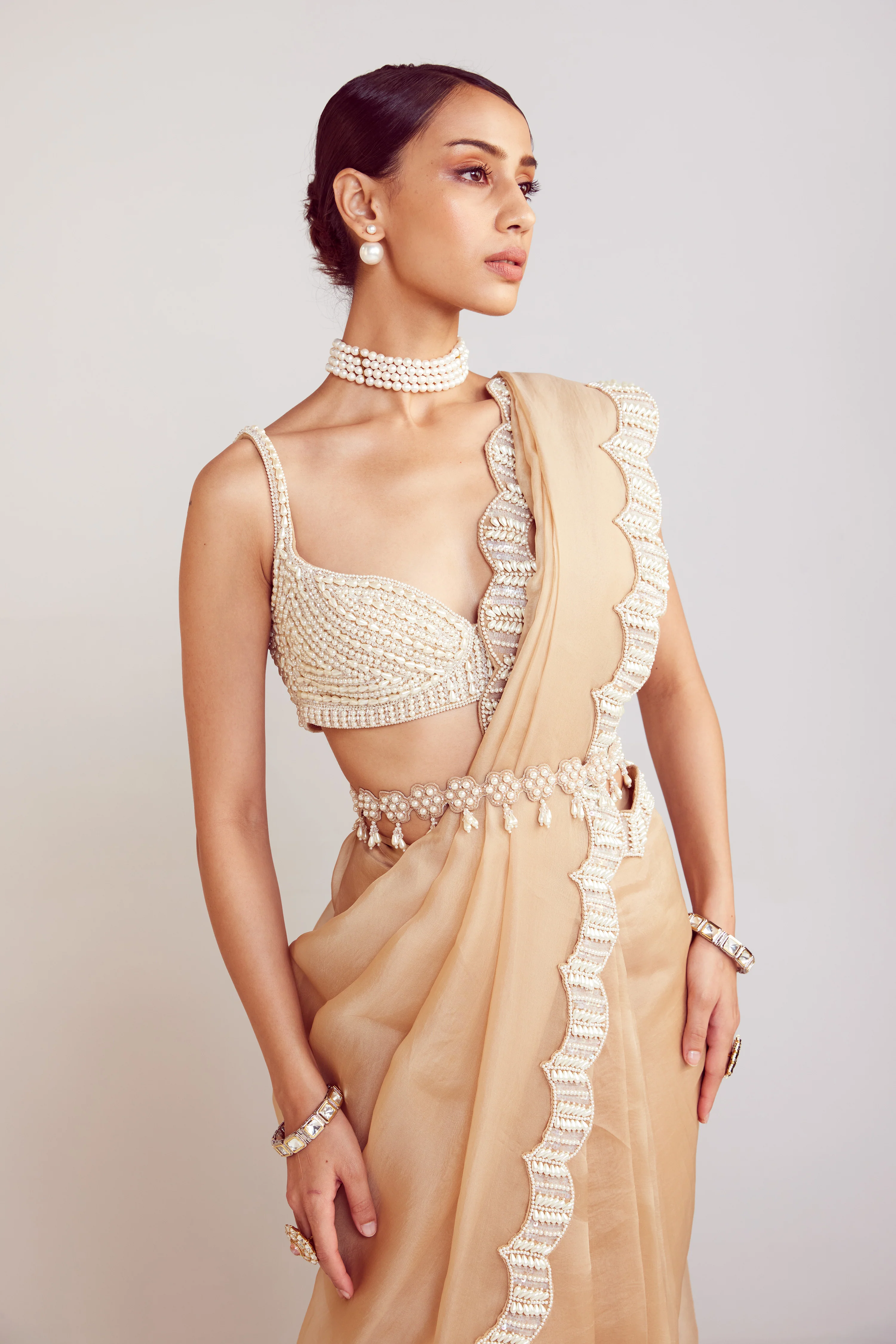 Beige Saree Set - Image 4