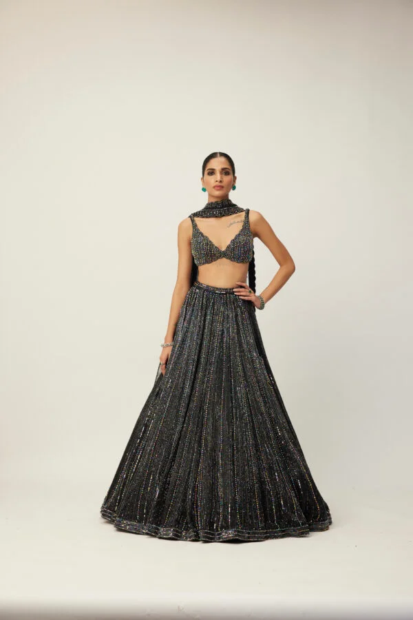Black Crystal Linear Embroidered Lehenga Set - Image 3
