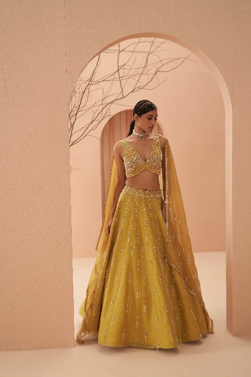 Blaze Lehenga Set