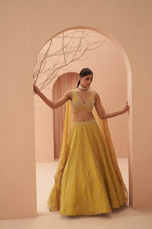 Blaze Lehenga Set - Image 2