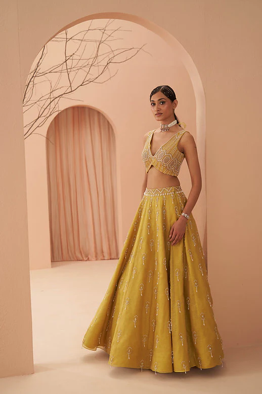 Blaze Lehenga Set - Image 3