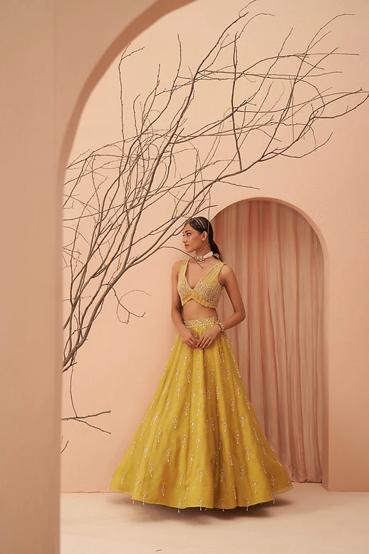 Blaze Lehenga Set - Image 5