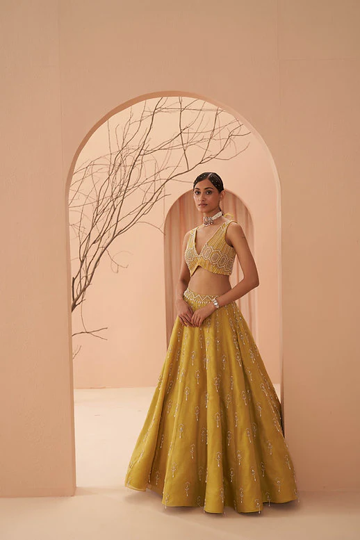Blaze Lehenga Set - Image 6