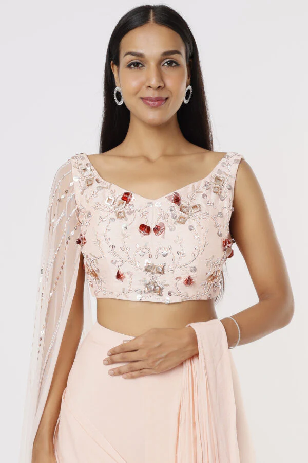 Blush Saree With Embroidered Blouse - Image 4