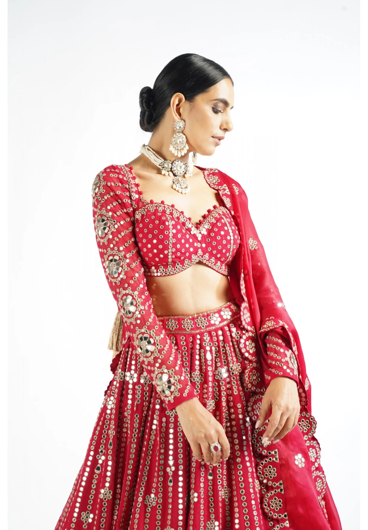 Crimson Red Small Flower Linear Lehenga Set - Image 4