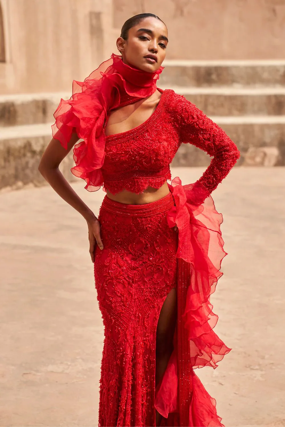 Crystal Cascade Lehenga Set - Image 4
