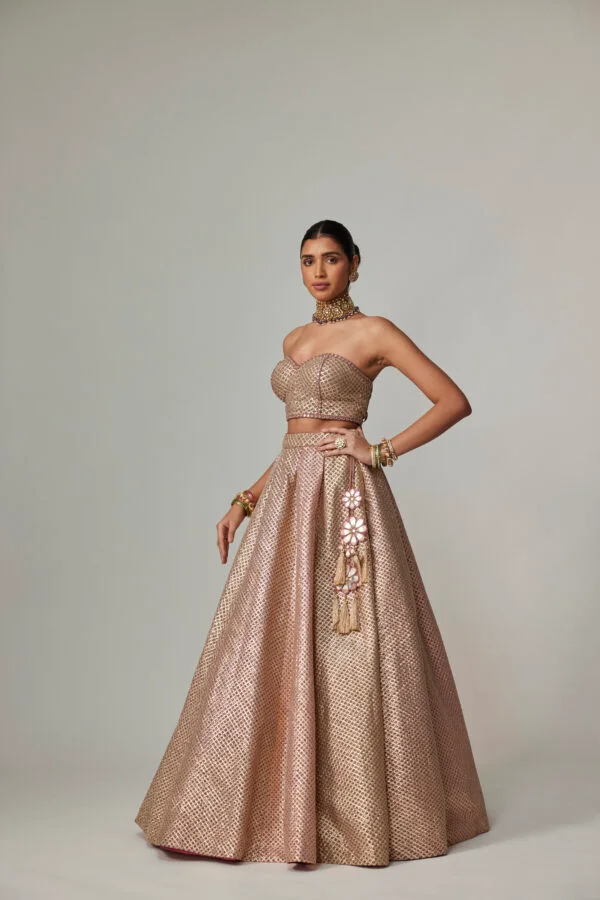 Deep Beige Multicolor Corset With Skirt - Image 4