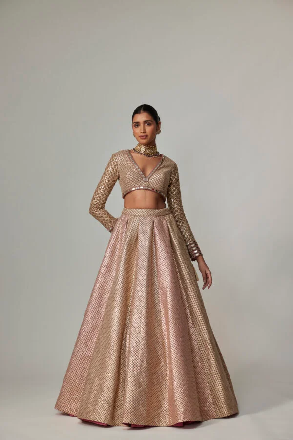 Deep Beige Multicolor Skirt With V Neck Full Sleeve Blouse - Image 3