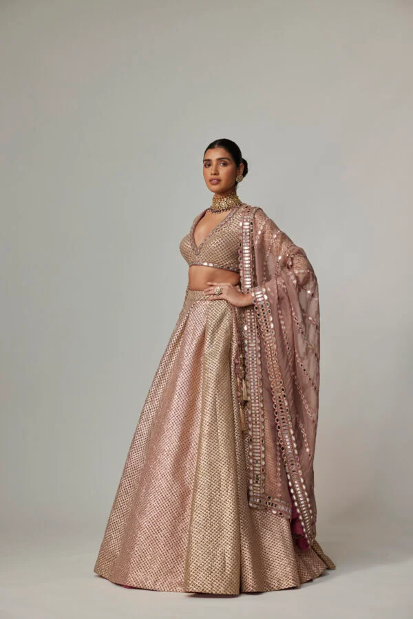 Deep Beige Multicolor Skirt With V Neck Full Sleeve Blouse - Image 5