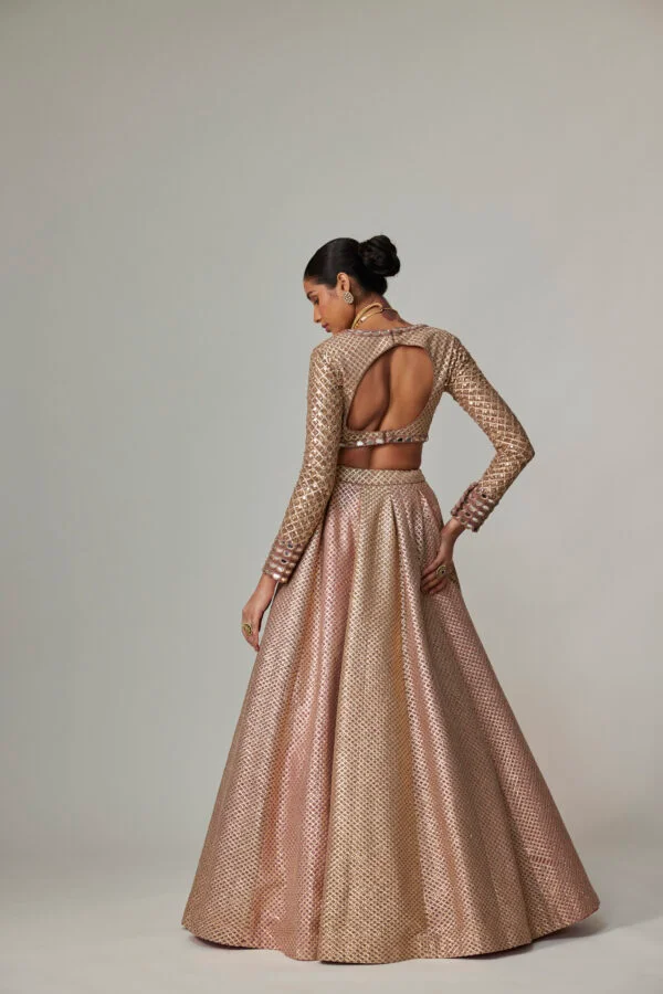 Deep Beige Multicolor Skirt With V Neck Full Sleeve Blouse - Image 6