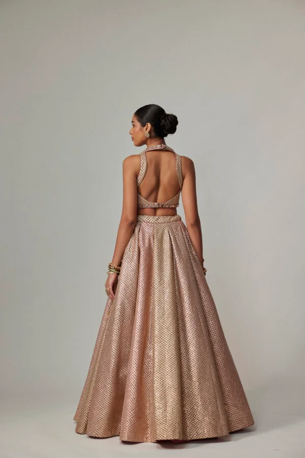Deep Beige Multicolor With Crop Top - Image 4