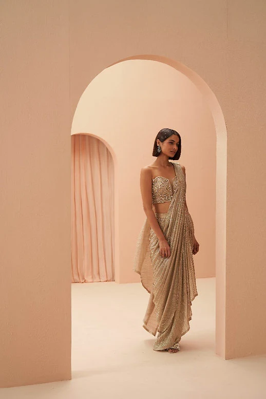 Gleaming Pleated Saree - Image 3