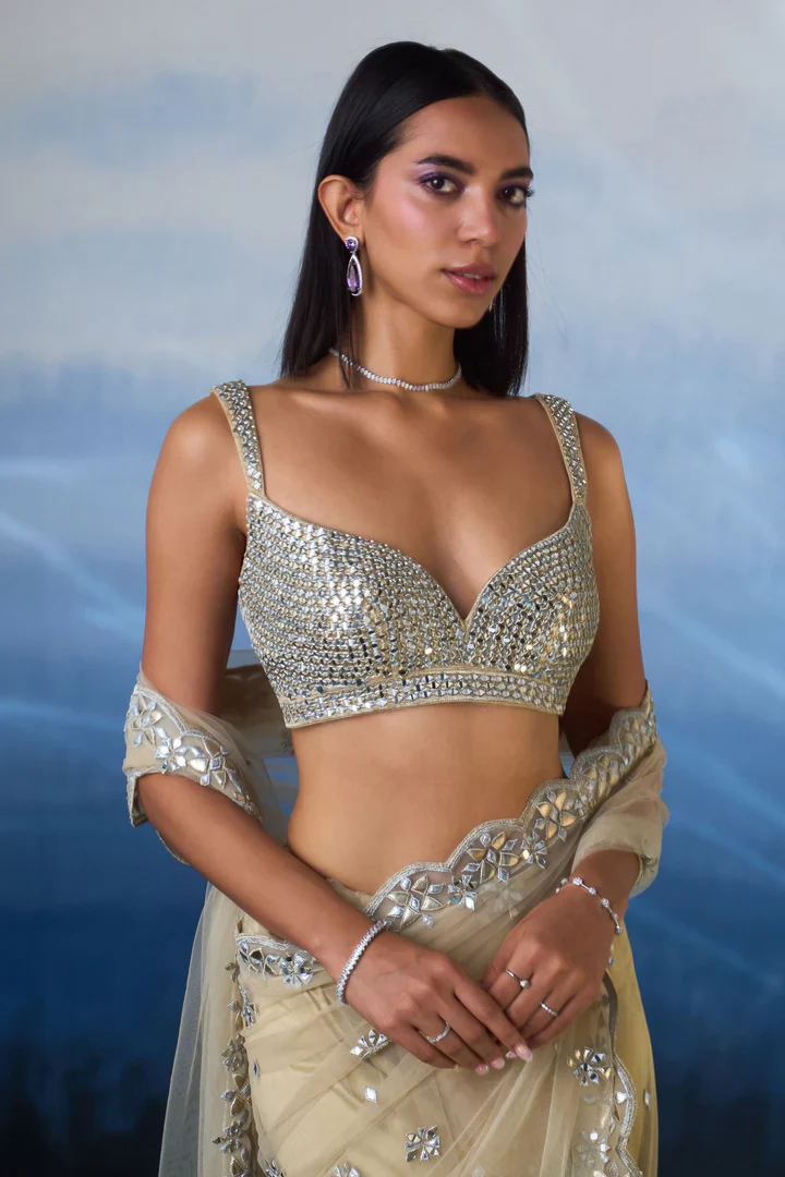 Gold Net Saree - Image 4