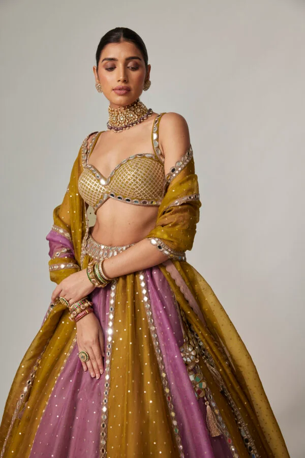 Green Multicolour Sequin Scattered Lehenga Set - Image 4
