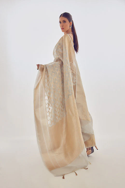 Hand Woven Pure Chanderi Saree - Silver