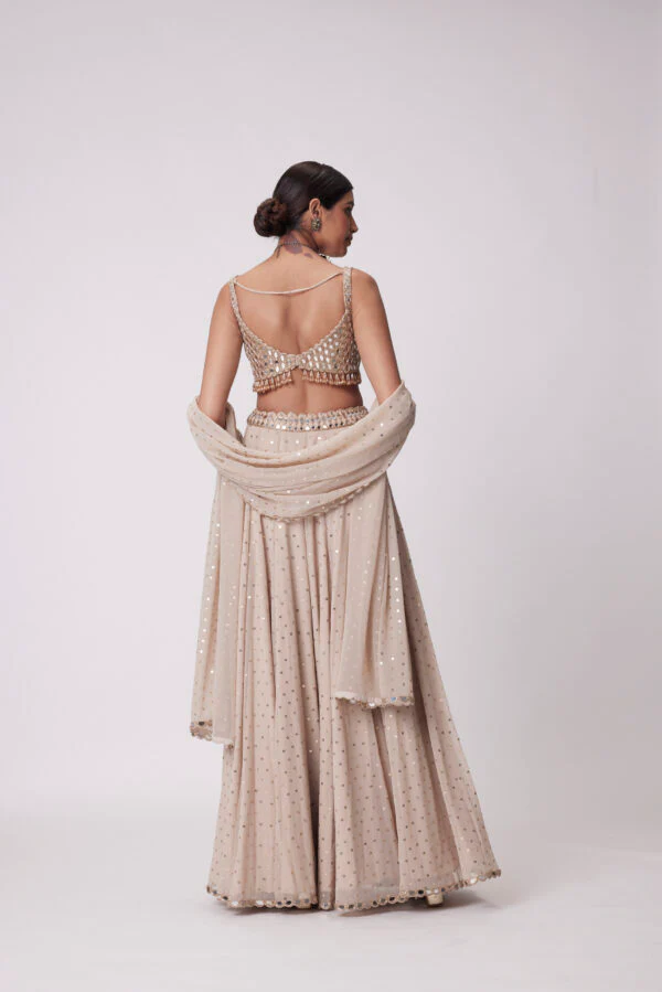 Light Beige Georgette Lehenga Pants Set - Image 4