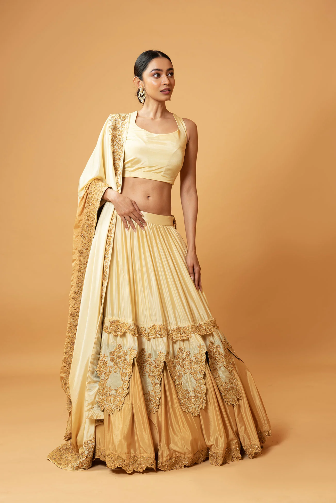 Light Gold Ombre Machine & Hand Embroidered Layered Lehenga Set - Image 4