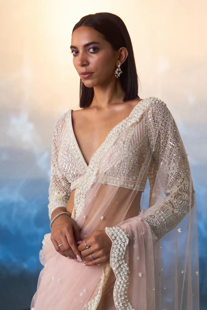 Light Peach Net Saree - Image 4