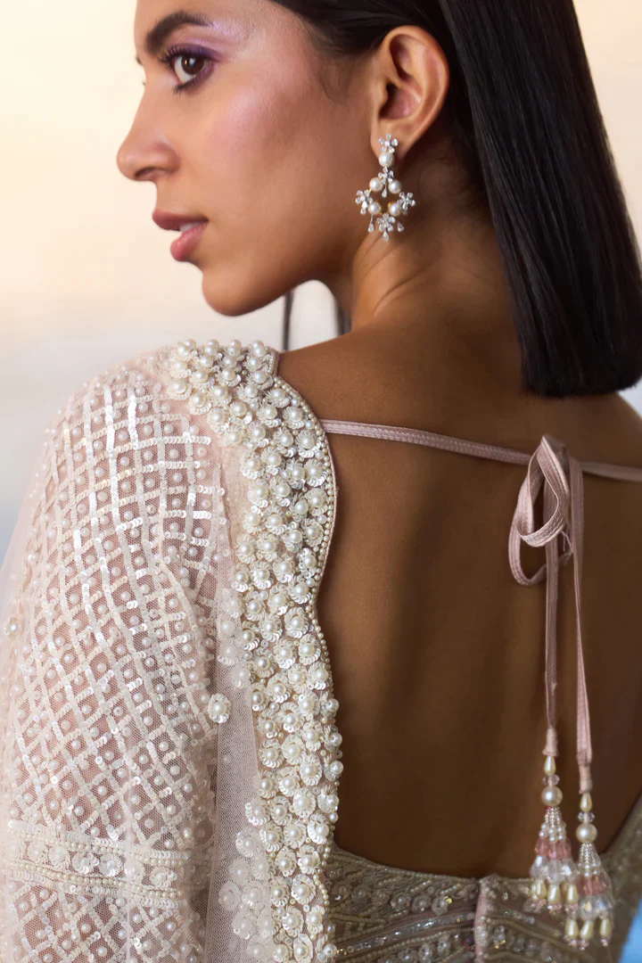 Light Peach Net Saree - Image 6