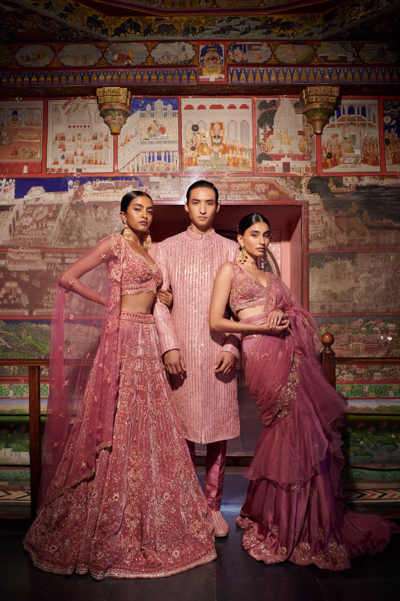 Mauve Embroidered Pre Draped Saree - Image 3