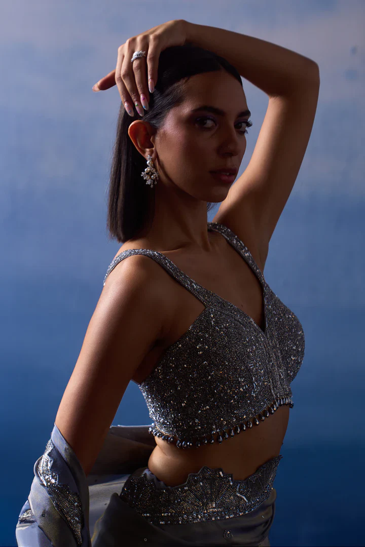 Metallic Grey Tissue Saree - Image 6