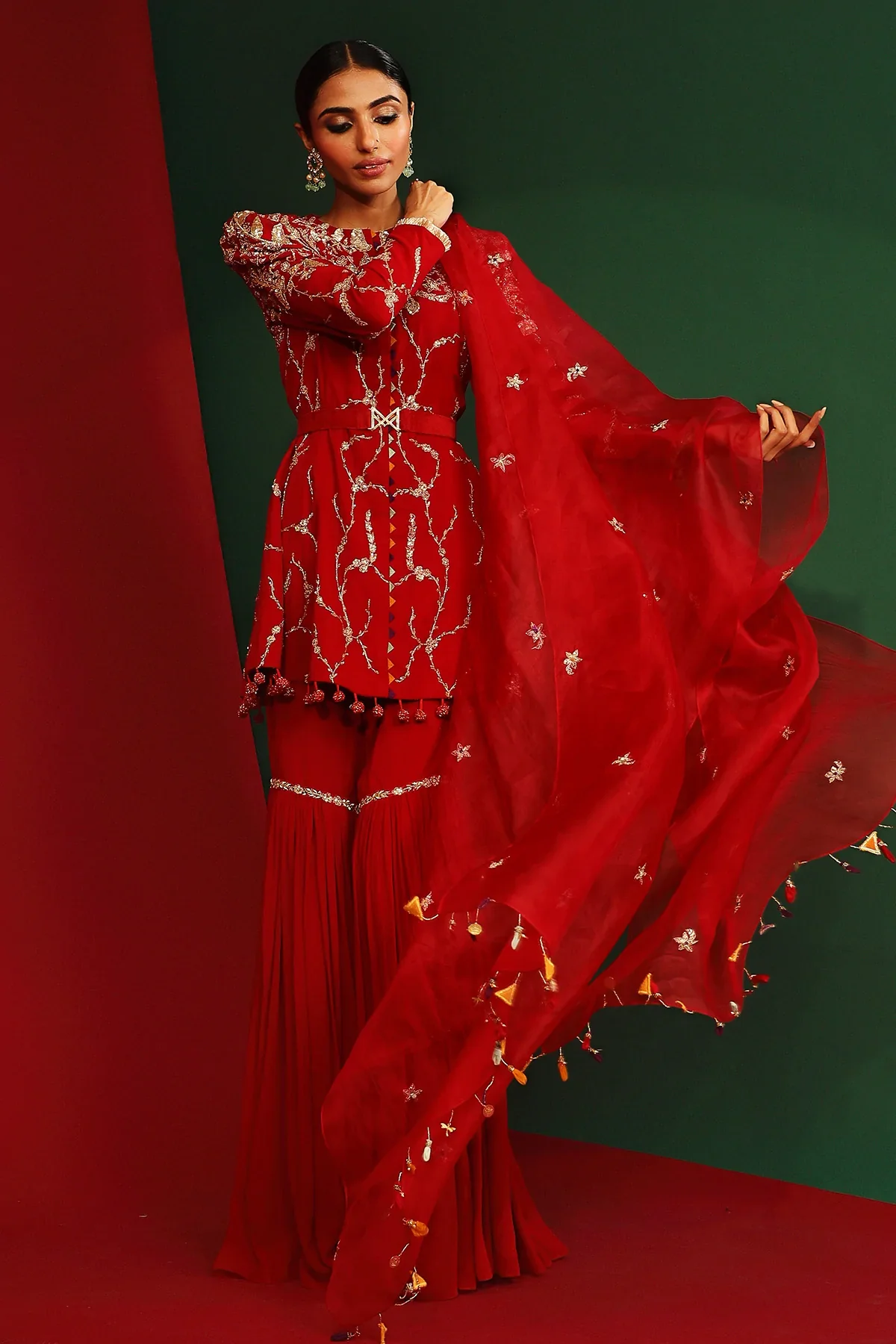 Mira Sindoori Red Embroidered Gharara - Image 5
