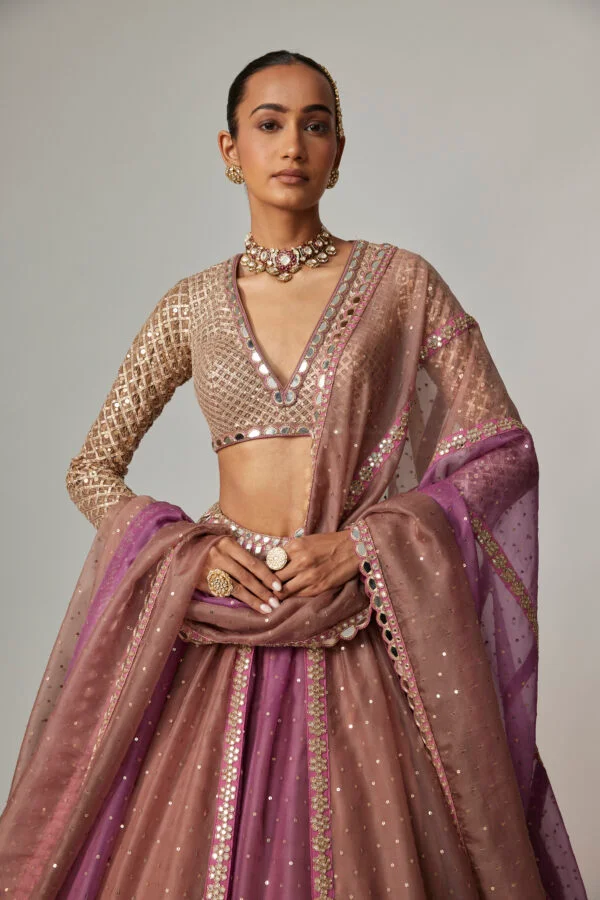 Mud Mauve Multicolor Chita Sequin Scattered Lehenga Set With V Neck Full Sleeves - Image 2