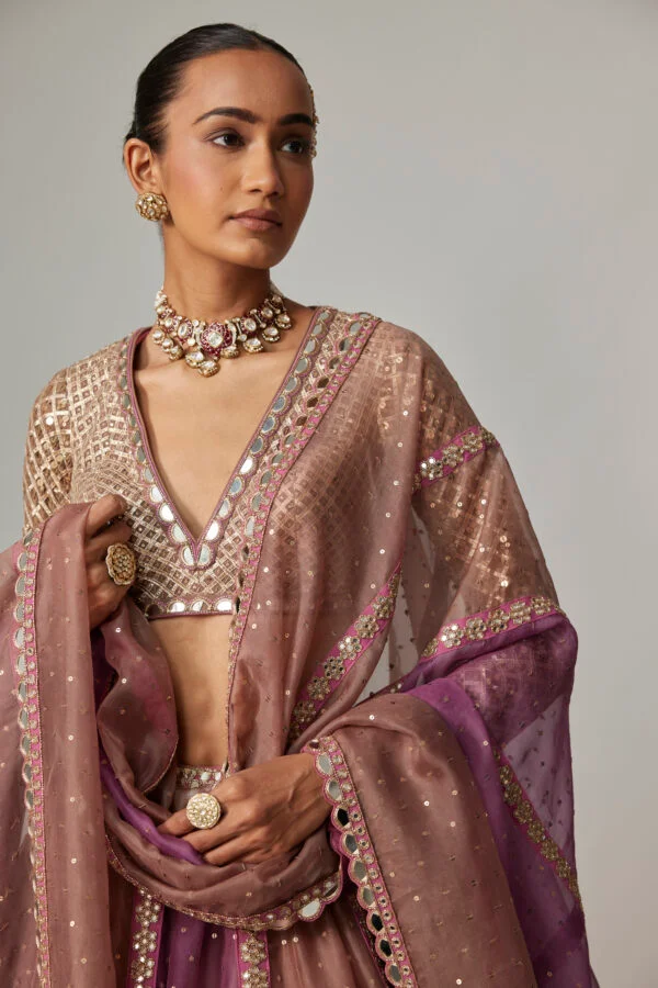Mud Mauve Multicolor Chita Sequin Scattered Lehenga Set With V Neck Full Sleeves - Image 3