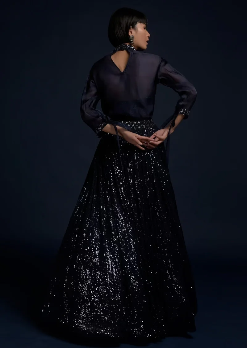 Navy Blue Lehenga Embellished In Sequins With A Matching Organza Top And Sequins Bustier - Image 3