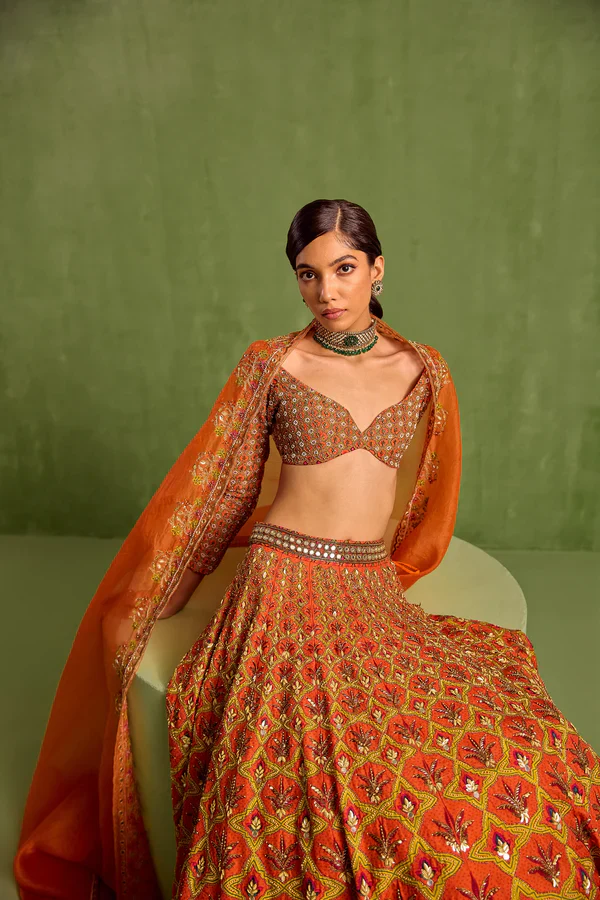 Orange Viscose Raw Silk Embellished Floral Geometric Mughal Printed Lehenga Set - Image 6