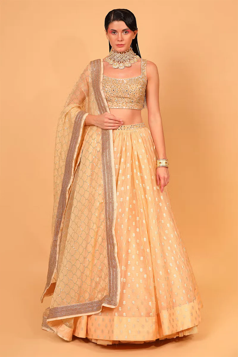 Peach Cotton Shantoon Banarasi Organza Lehenga Set