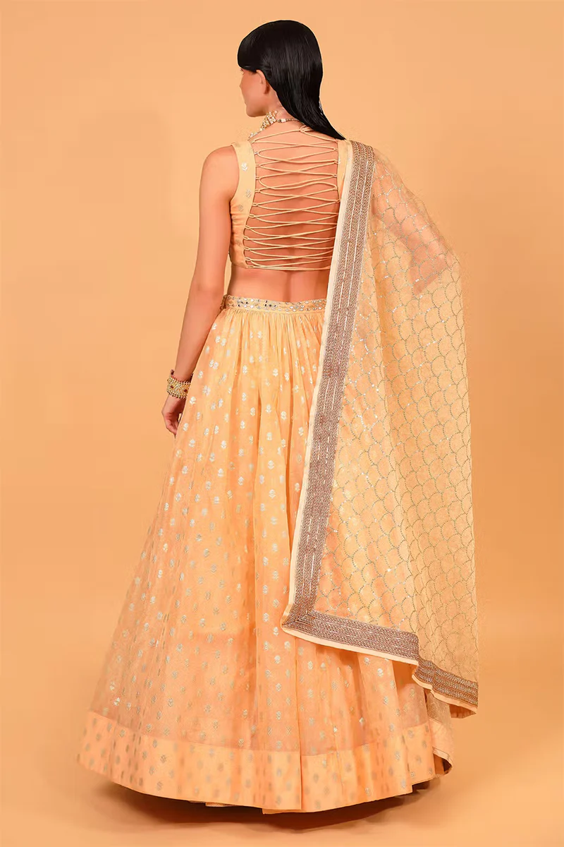 Peach Cotton Shantoon Banarasi Organza Lehenga Set - Image 2
