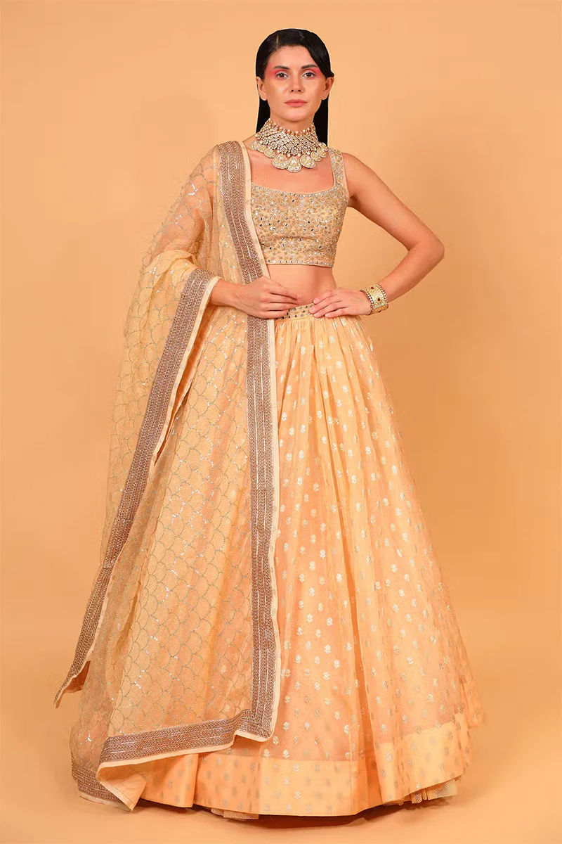 Peach Cotton Shantoon Banarasi Organza Lehenga Set - Image 3