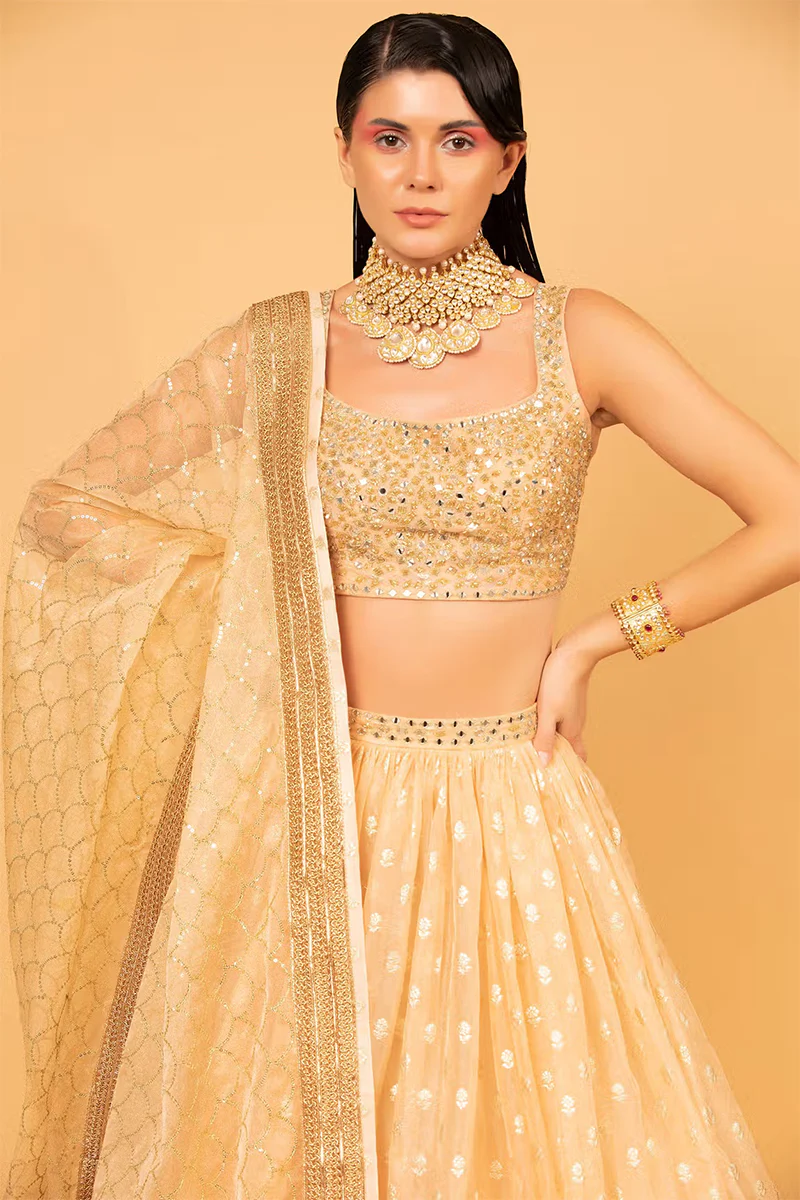 Peach Cotton Shantoon Banarasi Organza Lehenga Set - Image 5