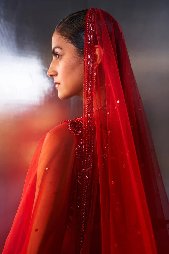 Red Net Lehenga Set - Image 4
