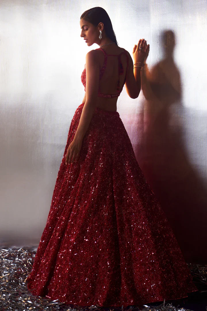 Red Net Lehenga Set - Image 6
