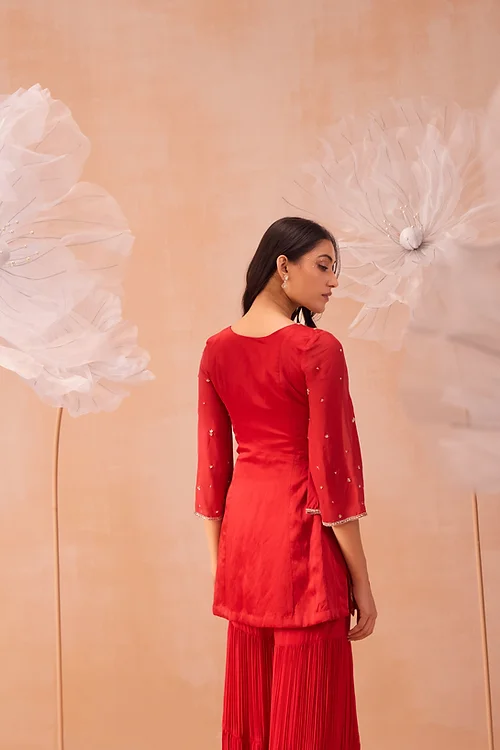 Rouge Sharara Set - Image 4