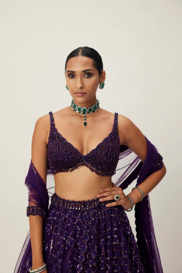 Royalty Purple Crystal Embroidered Lehenga Set - Image 3