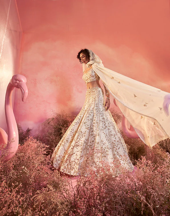 Roza Lehenga Set - Image 3
