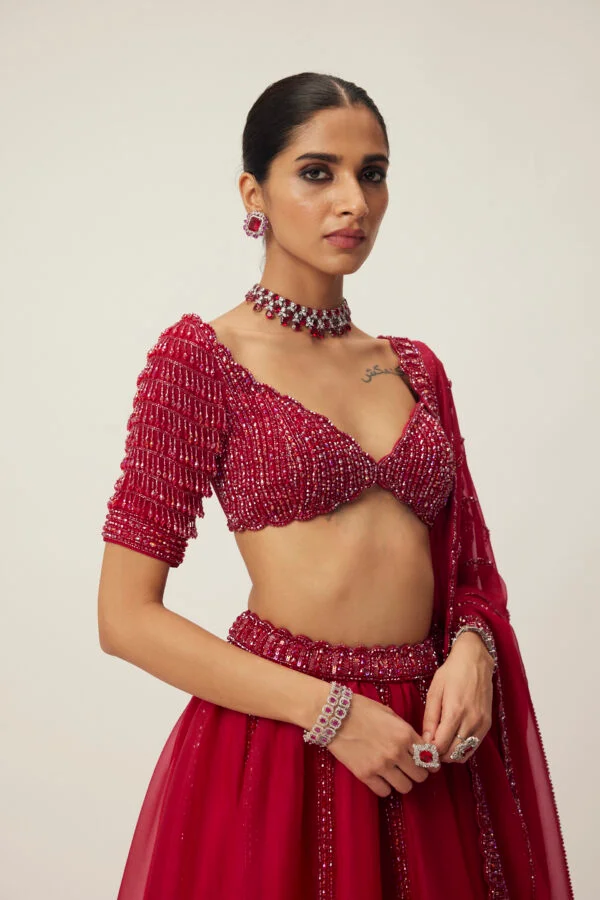 Ruby Red Organza Lehenga set - Image 2