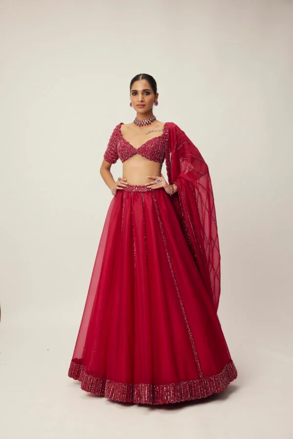 Ruby Red Organza Lehenga set - Image 3