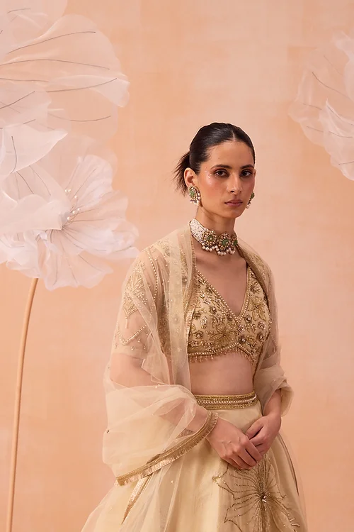 Sarine Lehanga Set - Image 2