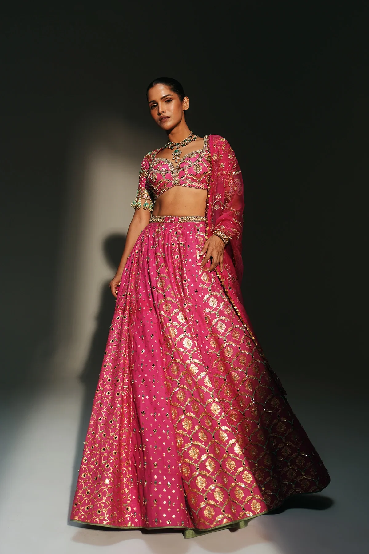 SRI - Heavy Hand Embroidered Lehenga Set - Image 3
