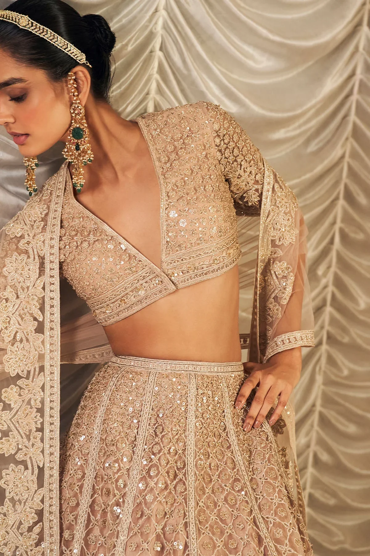 Sukhan - Champagne Net Embroidered Lehenga - Image 2
