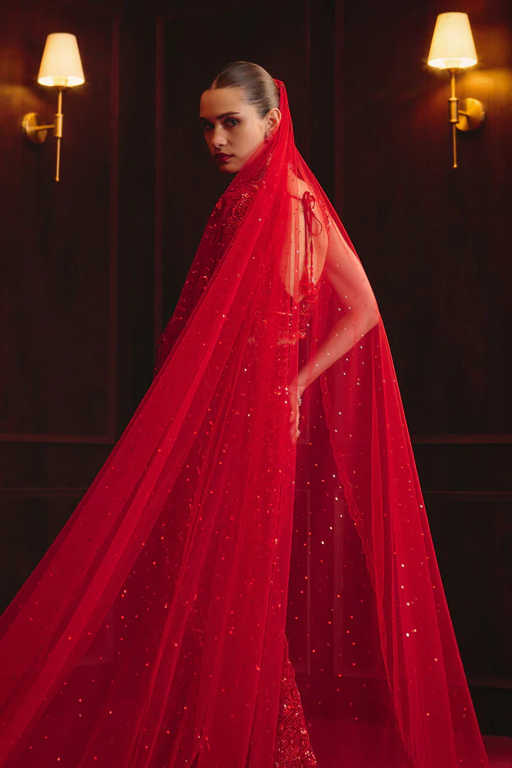 The Sovereign Flame Embroidered Saree Set - Image 6