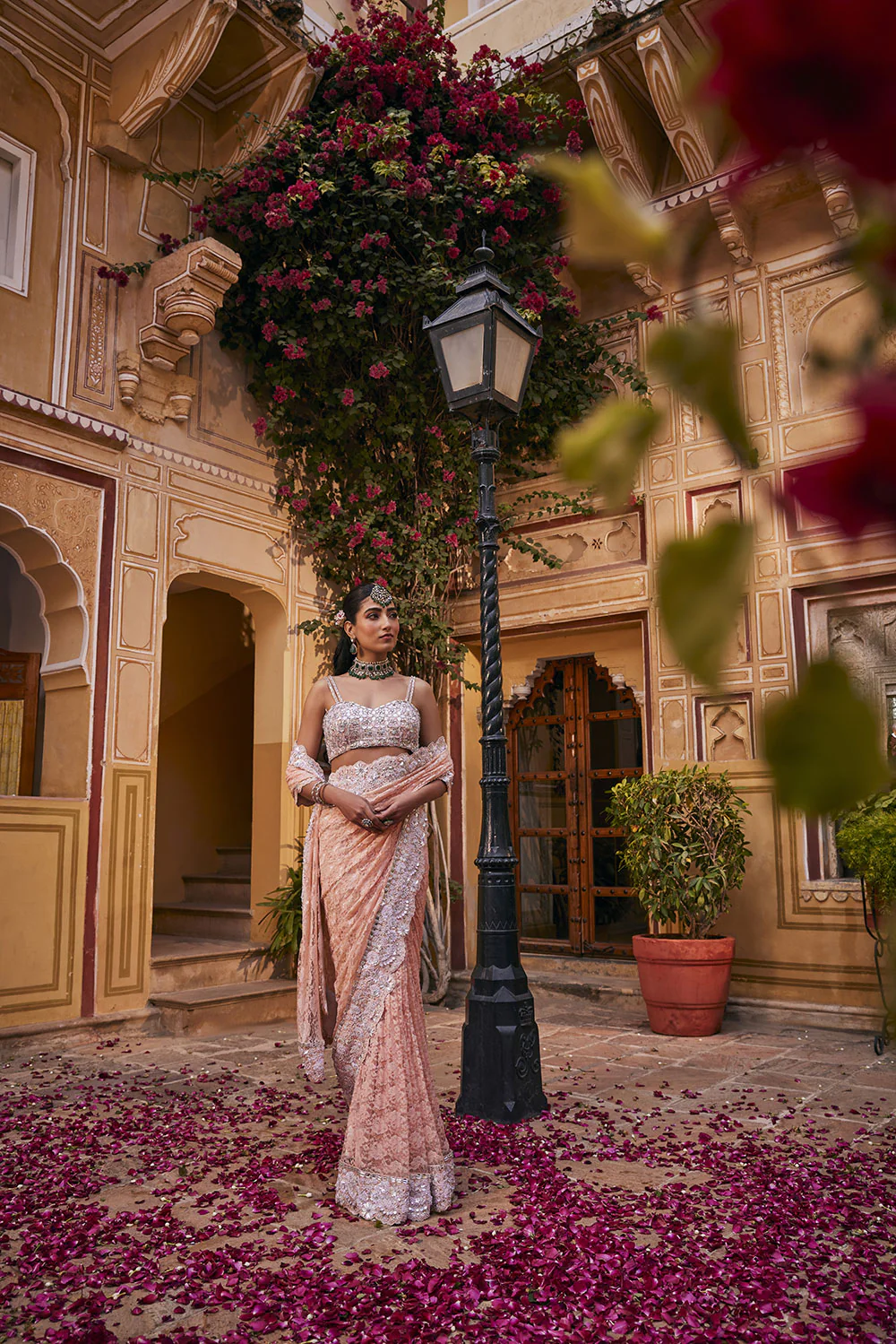 ZIRISA Embroidered Border Saree
